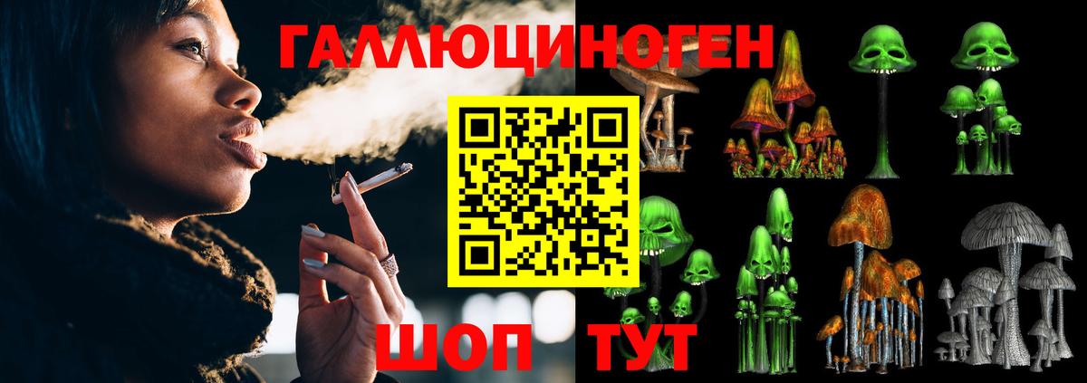 Галлюциногенные грибы Magic Shrooms Урус-Мартан