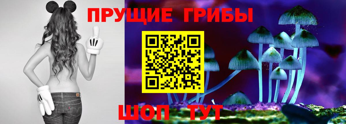 наркота  Вход с VPN  Псилоцибиновые грибы Psilocybine cubensis  Урус-Мартан  Галлюциногенные грибы GOLDEN TEACHER 
